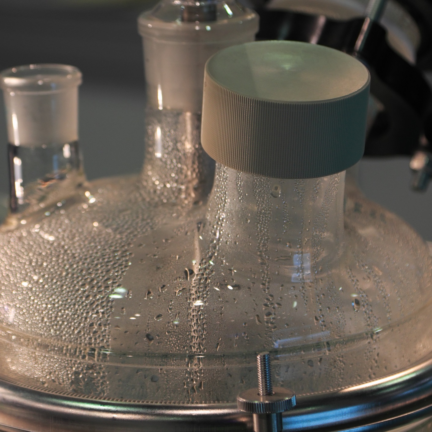 Custom Synthesis EAG Laboratories