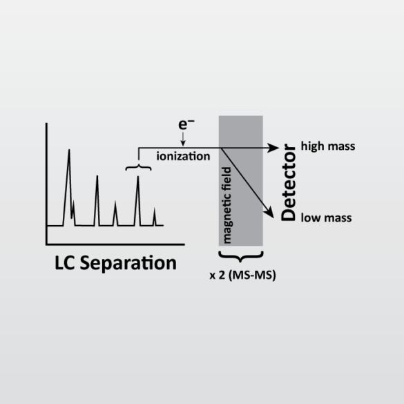 Liquid Chromatography with tandem mass spectrometry (LC-MS-MS) icon from EAG Laboratories