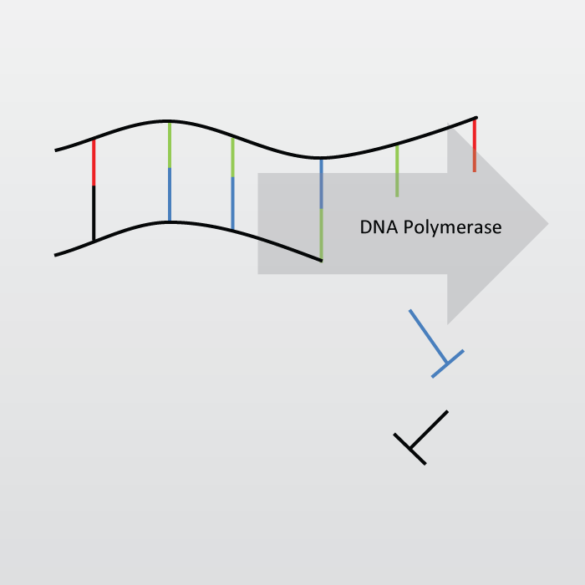 polymerase chain reaction pcr technique eag laboratories pcr technique