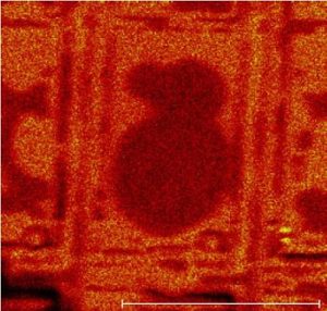 TOF-SIMS analysis of flat panel display -