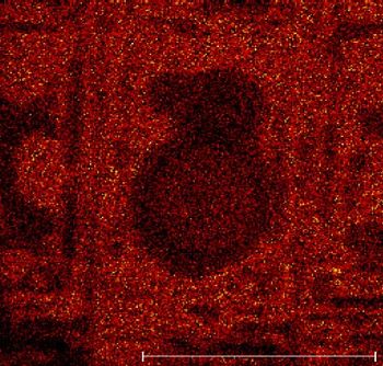 Analyse TOF-SIMS d'un écran plat - images d'ions positives