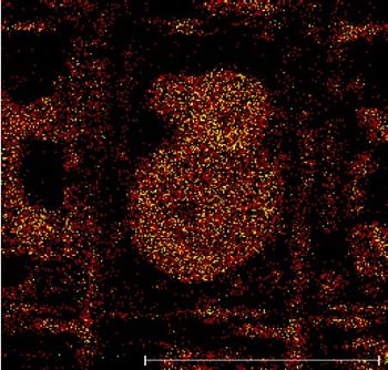 TOF-SIMS analysis of flat panel display -