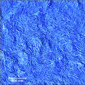 Microscopie à force atomique (AFM), données de surface du polymère, telles que reçues