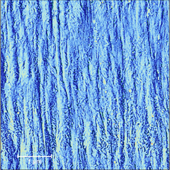 원자력 미세 현미경 (AFM), 폴리머 표면, 변형