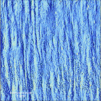 Atomic Force Micrscopy (AFM), polymer surface, strained