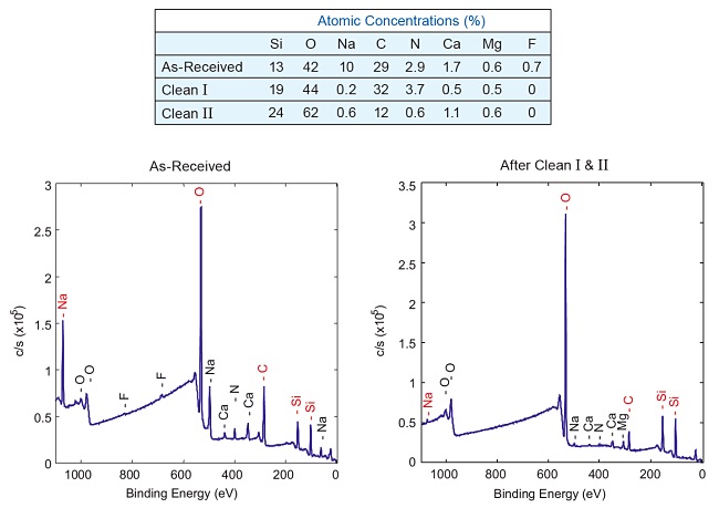 EVALUATION OF CLEANING EFFICACY