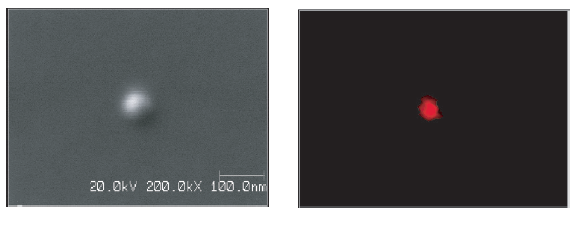 图2 Auger在二次电子图像（左上角）中显示的500Å粒子的测量光谱（底部）显示铝污染。 Al地图显示在右上角。