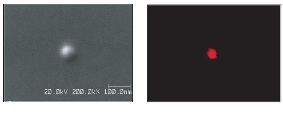 Figure 2 Auger survey spectrum (bottom) of the 500 Å particle shown in the secondary electron image (top-left) reveals aluminum contamination. The Al map is shown in the top right.