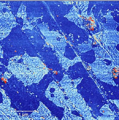 Figure 2 Phase Image, same area as Figure 1