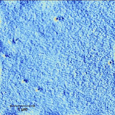 Figure 3 Phase image, tubing after being moistened