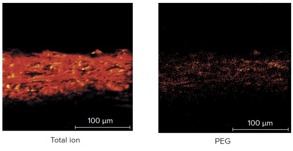 Figure 2A Cross-section images of printed smooth paper