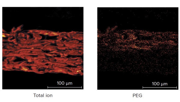 Figure 2B Cross-section images of printed rough paper