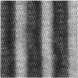 AC-STEM Z-contrast image of GaN:InGaN multilayer stack.