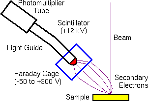 Auger theory SEM