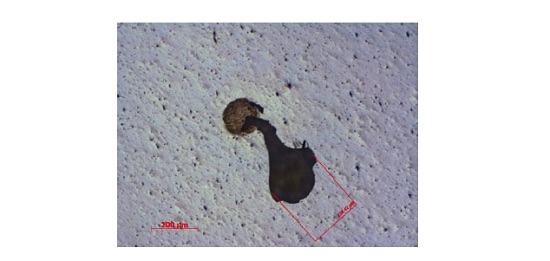 Figure 7 Optical micrograph of defect