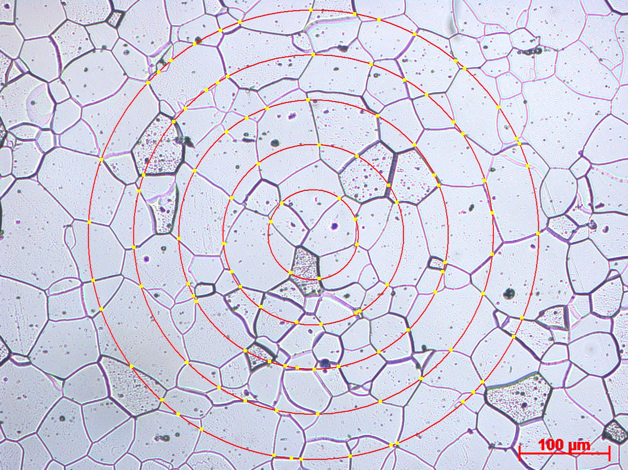 Metallurgical testing of etched stainless steel sample with ring intercept overlay to determine grain size.