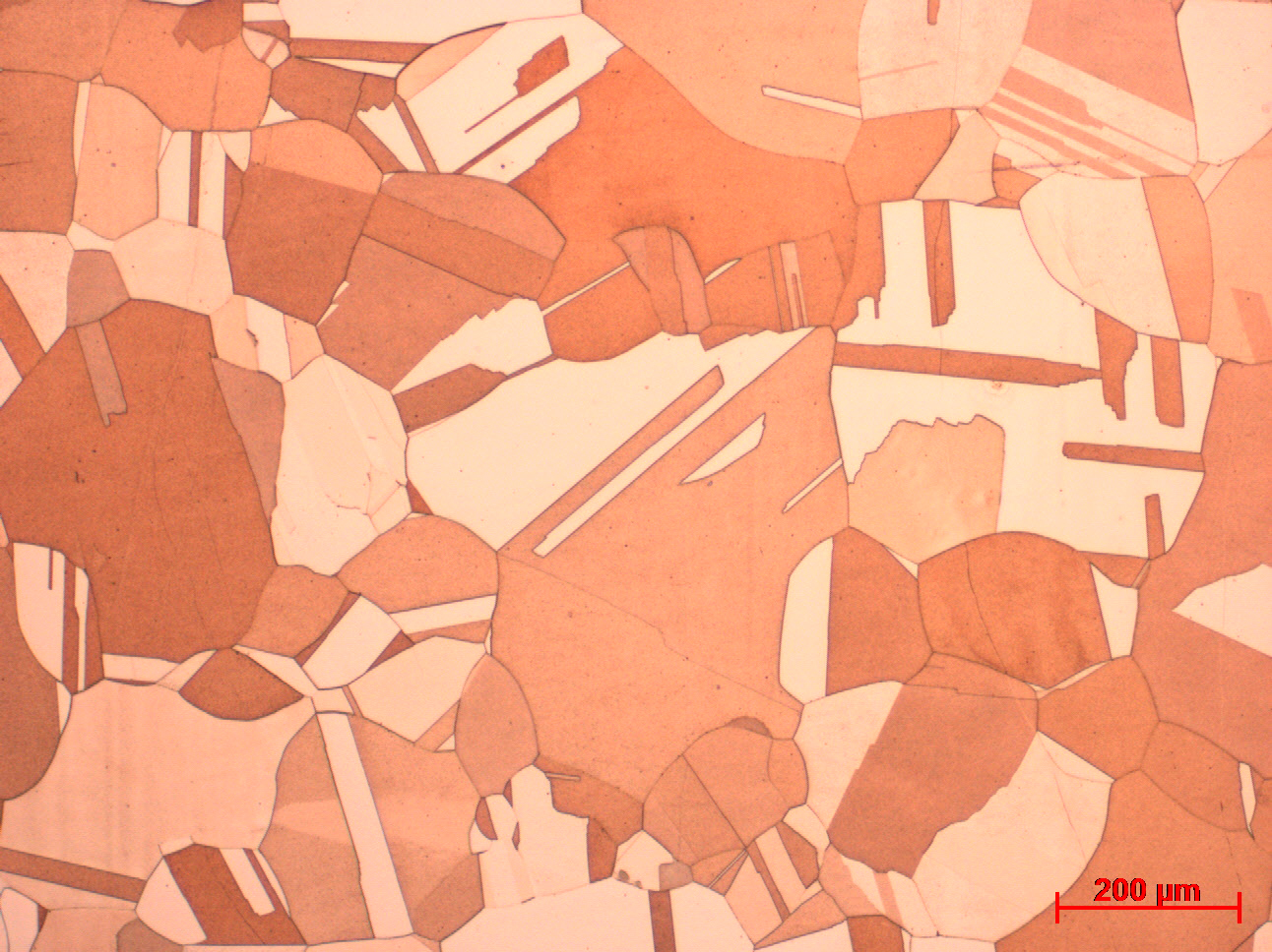 Metallurgical testing image of copper microstructure