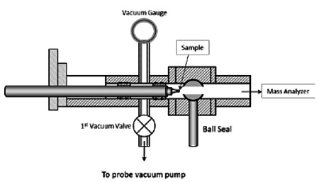 Figure 7: Schematic diagram of DIP-MS sampling configuration.