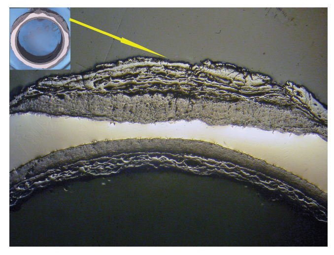 Cross-Section of a corroded stainless steel pipe showing reduced thickness of the base metal from contamination and oxidation 8X.