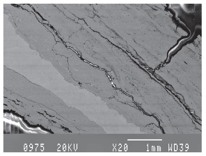 SEM micrograph obtained at the weld area, showing porosity, cracks and particles in the scale 20X.