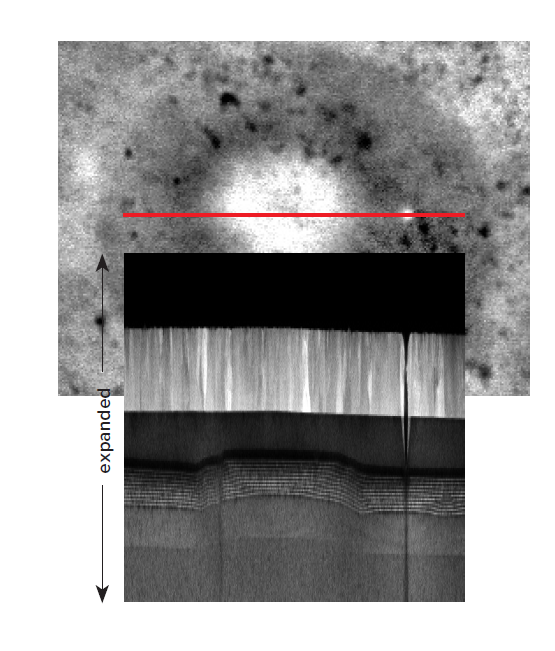 Magnifying the TEM cross-section image vertically reveals a disruption in the quantum well epi-layer growth. The EBIC signal is stronger where the quantum well is in closer proximity to the ITO layer.