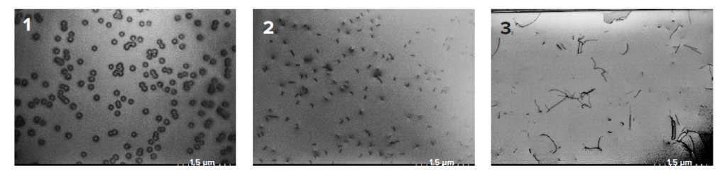 Plan view samples show dislocations (1) close to the QW layers, (2) in the middle of the GaN growth and (3) next to the sapphire substrate.