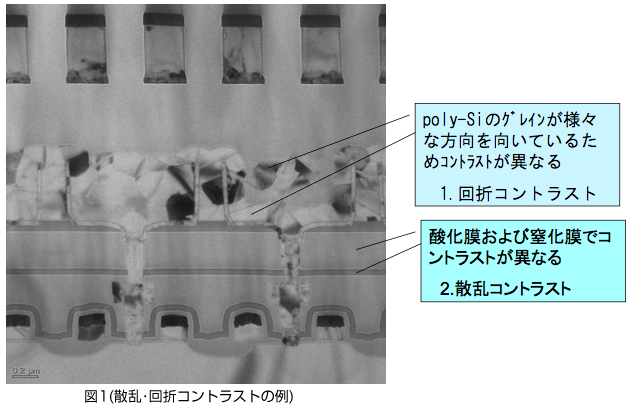 Tem像のコントラストの種類 Eag Laboratories 81 3 5396 0531