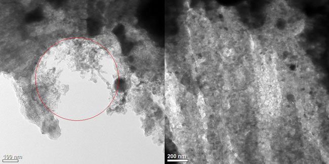 room temperature and Cryo TEM