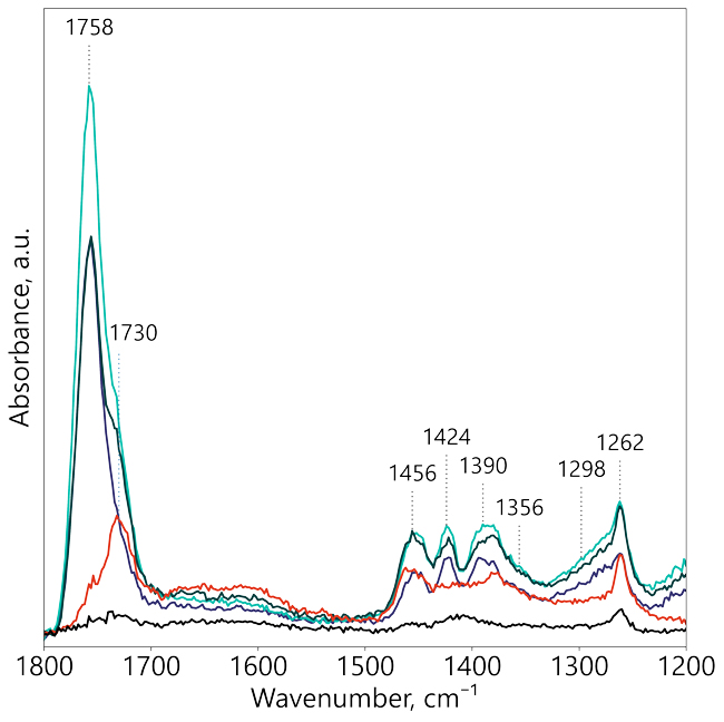 NanoIR spectra