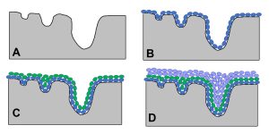 Gas Sorption Analysis