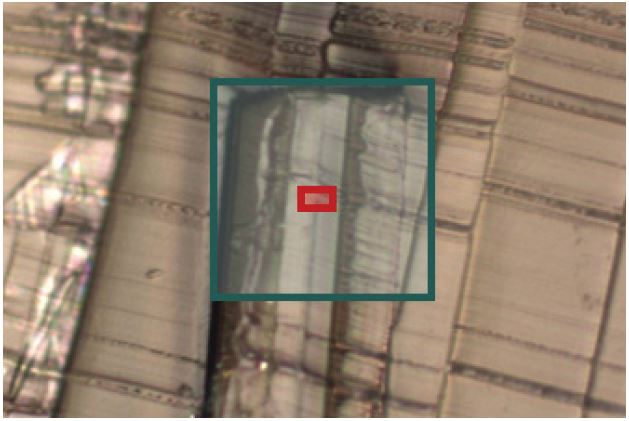 Optical image of the polymer cross section, blue box is the analysis size for FTIR and the red box shows the imaged region in NanoIR.