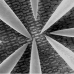 Nanoprobing