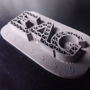 3D printed EAG
