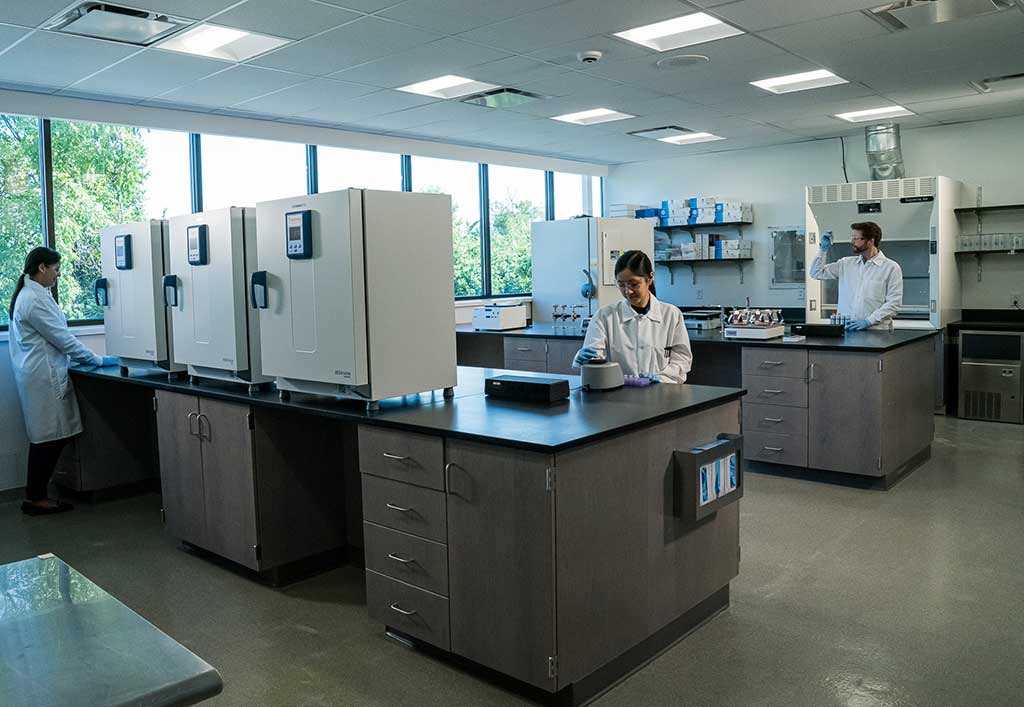 in vitro biocompatibility testing