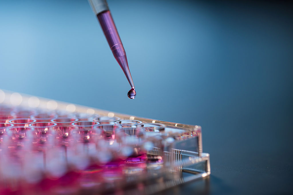 in vitro biocompatibility testing