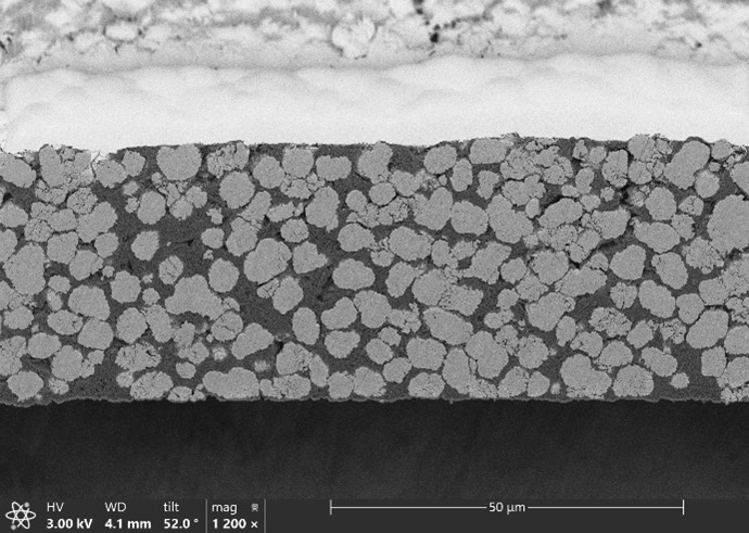 cross-section BSE image