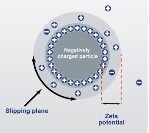 Zeta Potential