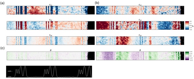 Strain maps from 4D STEM data of (a) Ga-ion etched (b) Xe etched sample. (c) Strain yy profile measured by PED on reference sample.