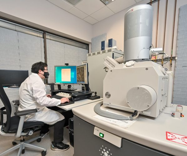 The Power of SEM-EDS in Imaging and Elemental Analysis - EAG Laboratories