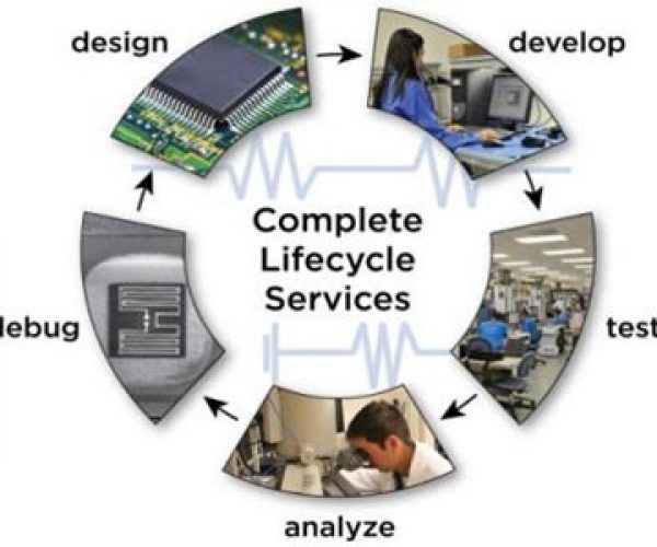 lifecycle